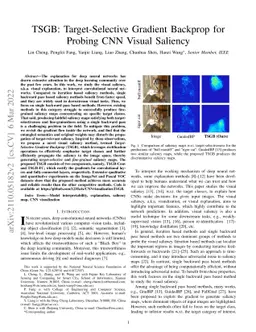 TSGB: Target-Selective Gradient Backprop for Probing CNN Visual Saliency