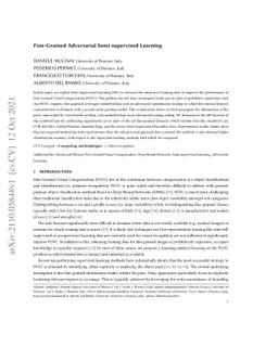 Fine-Grained Adversarial Semi-supervised Learning