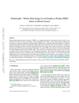 SlideGraph+: Whole Slide Image Level Graphs to Predict HER2Status in
  Breast Cancer