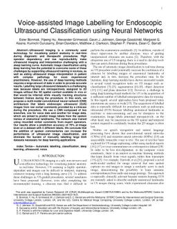 Voice-assisted Image Labelling for Endoscopic Ultrasound Classification
  using Neural Networks