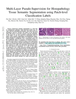 Multi-Layer Pseudo-Supervision for Histopathology Tissue Semantic
  Segmentation using Patch-level Classification Labels