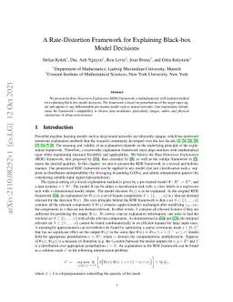 A Rate-Distortion Framework for Explaining Black-box Model Decisions