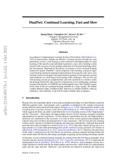 DualNet: Continual Learning, Fast and Slow