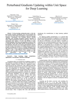 Perturbated Gradients Updating within Unit Space for Deep Learning