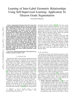 Learning of Inter-Label Geometric Relationships Using Self-Supervised
  Learning: Application To Gleason Grade Segmentation