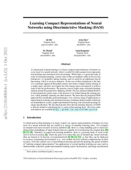 Learning Compact Representations of Neural Networks using DiscriminAtive
  Masking (DAM)