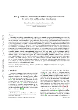 Weakly Supervised Attention-based Models Using Activation Maps for
  Citrus Mite and Insect Pest Classification