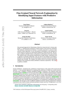 Fine-Grained Neural Network Explanation by Identifying Input Features
  with Predictive Information