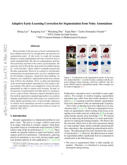 Adaptive Early-Learning Correction for Segmentation from Noisy
  Annotations