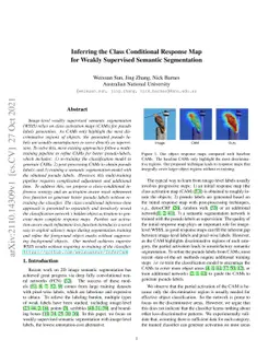 Inferring the Class Conditional Response Map for Weakly Supervised
  Semantic Segmentation