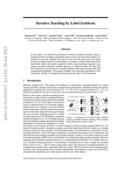 Iterative Teaching by Label Synthesis
