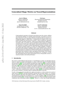 Generalized Shape Metrics on Neural Representations