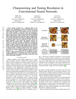 Characterizing and Taming Resolution in Convolutional Neural Networks
