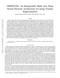 ODMTCNet: An Interpretable Multi-view Deep Neural Network Architecture
  for Image Feature Representation