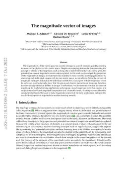 The magnitude vector of images