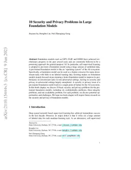 10 Security and Privacy Problems in Large Foundation Models