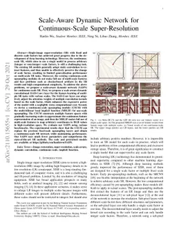 Scale-Aware Dynamic Network for Continuous-Scale Super-Resolution