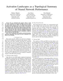 Activation Landscapes as a Topological Summary of Neural Network
  Performance