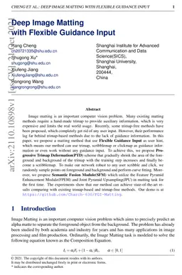Deep Image Matting with Flexible Guidance Input