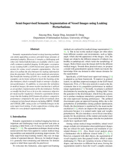Semi-Supervised Semantic Segmentation of Vessel Images using Leaking
  Perturbations