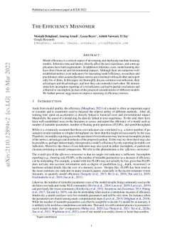 The Efficiency Misnomer