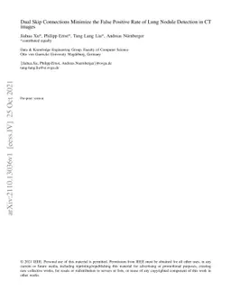 Dual Skip Connections Minimize the False Positive Rate of Lung Nodule
  Detection in CT images