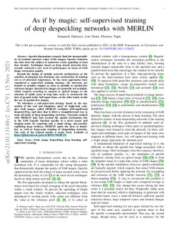 As if by magic: self-supervised training of deep despeckling networks
  with MERLIN