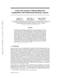 Look at the Variance! Efficient Black-box Explanations with Sobol-based
  Sensitivity Analysis