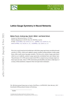 Lattice gauge symmetry in neural networks