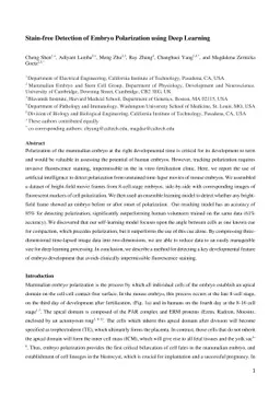 Stain-free Detection of Embryo Polarization using Deep Learning