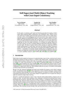 Self-Supervised Multi-Object Tracking with Cross-Input Consistency