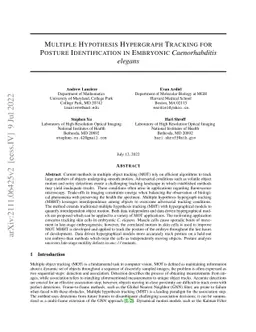 Multiple Hypothesis Hypergraph Tracking for Posture Identification in
  Embryonic Caenorhabditis elegans