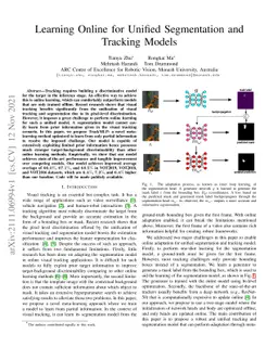 Learning Online for Unified Segmentation and Tracking Models