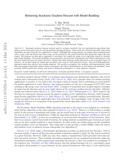 Bolstering Stochastic Gradient Descent with Model Building