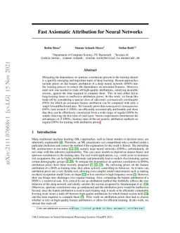 Fast Axiomatic Attribution for Neural Networks
