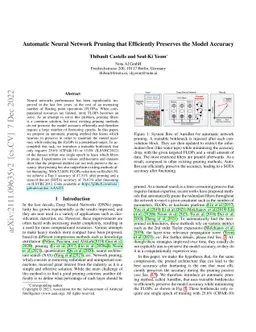 Automatic Neural Network Pruning that Efficiently Preserves the Model
  Accuracy