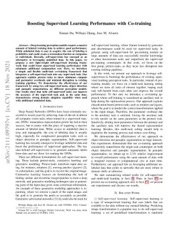 Boosting Supervised Learning Performance with Co-training