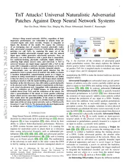 TnT Attacks! Universal Naturalistic Adversarial Patches Against Deep
  Neural Network Systems