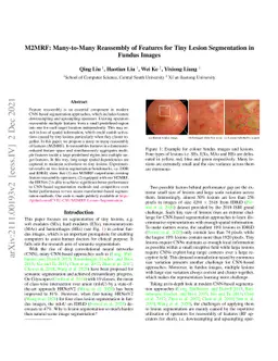 M2MRF: Many-to-Many Reassembly of Features for Tiny Lesion Segmentation
  in Fundus Images