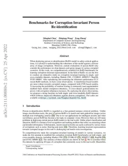 Benchmarks for Corruption Invariant Person Re-identification