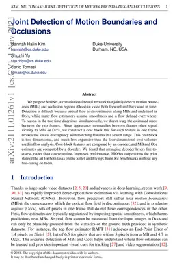 Joint Detection of Motion Boundaries and Occlusions