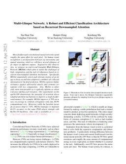 Multi-Glimpse Network: A Robust and Efficient Classification
  Architecture based on Recurrent Downsampled Attention