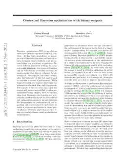 Contextual Bayesian optimization with binary outputs