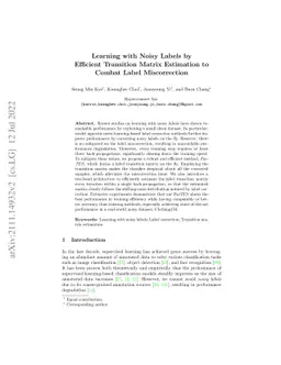 Learning with Noisy Labels by Efficient Transition Matrix Estimation to
  Combat Label Miscorrection