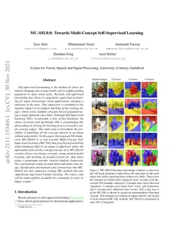 MC-SSL0.0: Towards Multi-Concept Self-Supervised Learning
