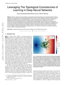 Leveraging The Topological Consistencies of Learning in Deep Neural
  Networks