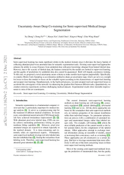 Uncertainty-Aware Deep Co-training for Semi-supervised Medical Image
  Segmentation