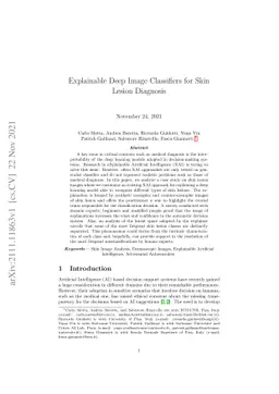 Explainable Deep Image Classifiers for Skin Lesion Diagnosis