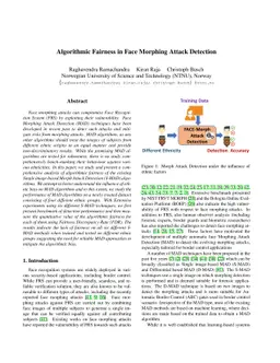 Algorithmic Fairness in Face Morphing Attack Detection