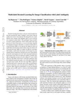 Multi-label Iterated Learning for Image Classification with Label
  Ambiguity
